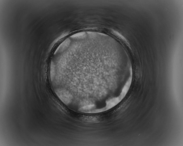 X0000082991411200703020835