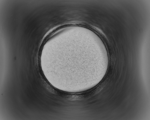 X0000082991412200703020835