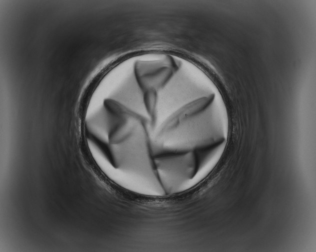 X0000082991414200703020835