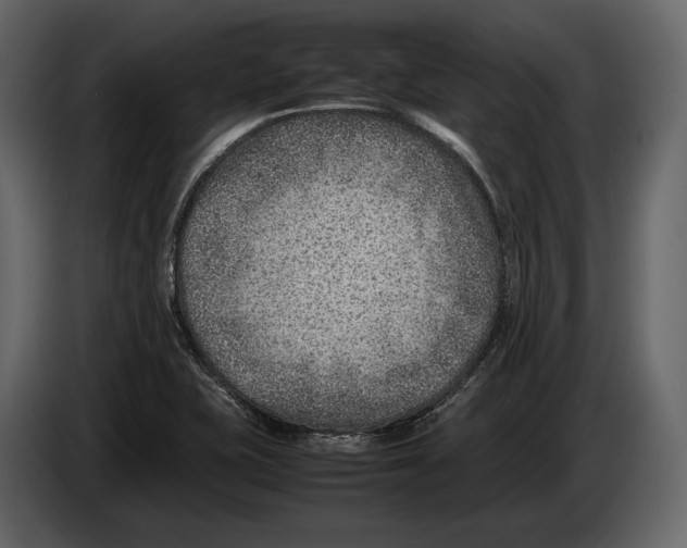 X0000082991415200703020835