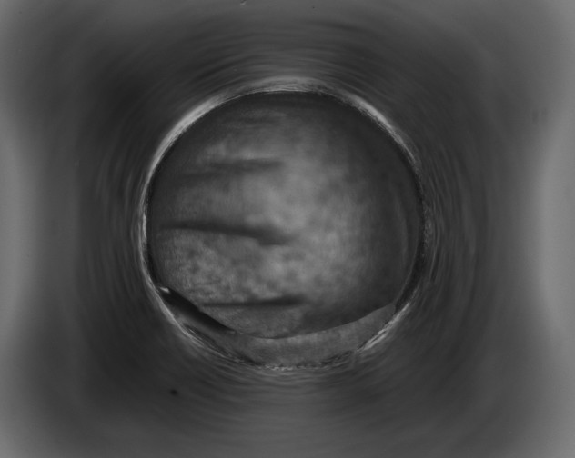 X0000082991418200703020835