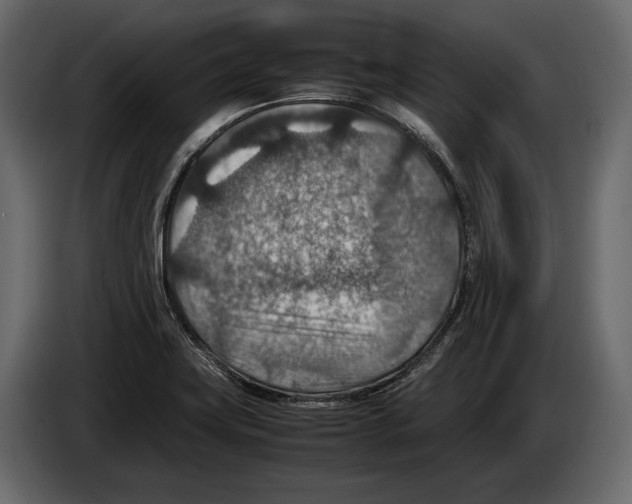 X0000082991419200703020835