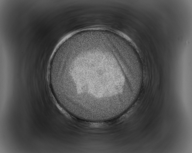 X0000082991421200703020835