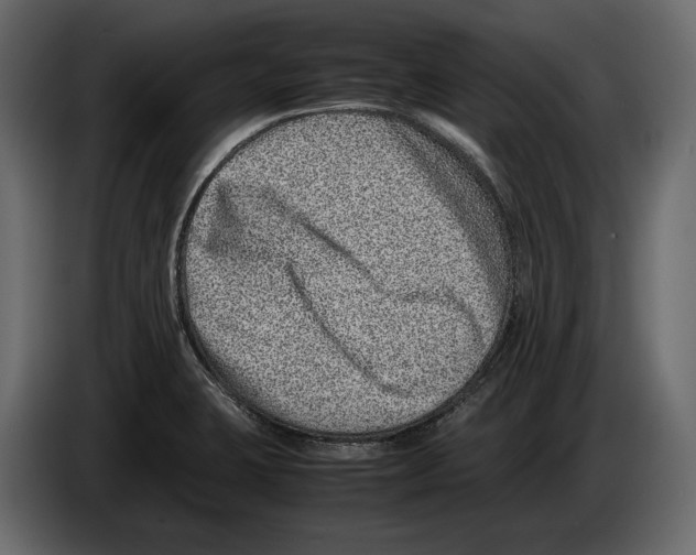 X0000082991423200703020835