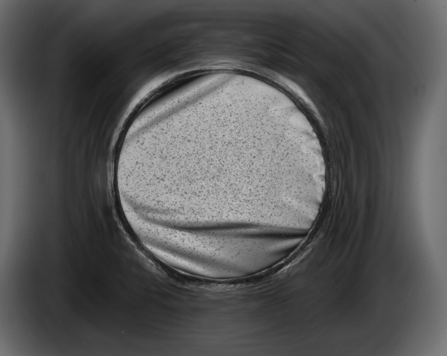 X0000082991424200703020835