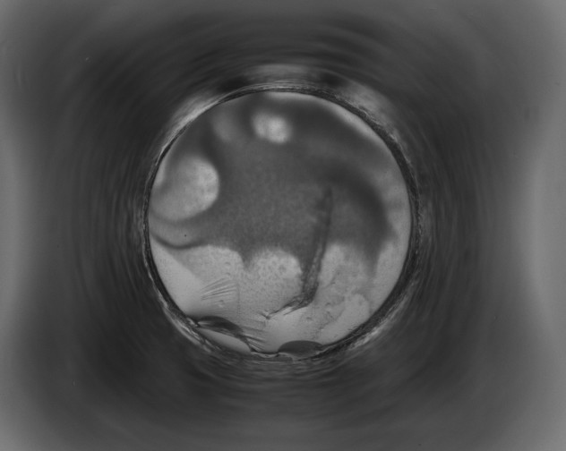 X0000082991425200703020835