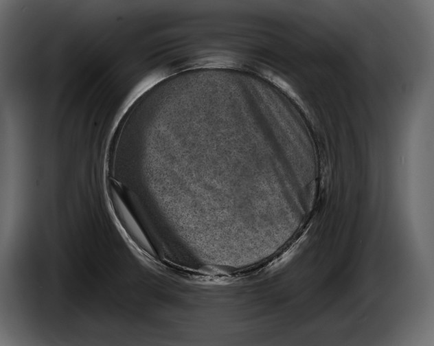 X0000082991426200703020835