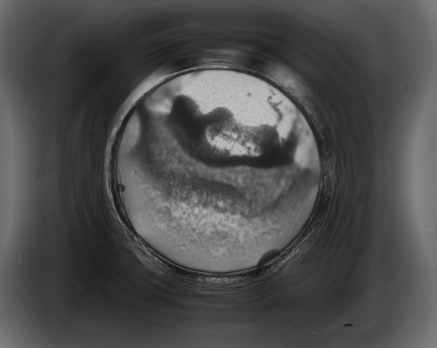 X0000082991427200703020835