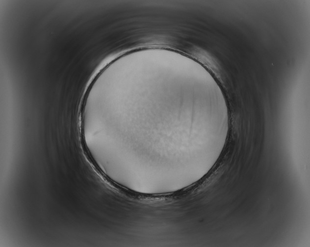 X0000082991428200703020835