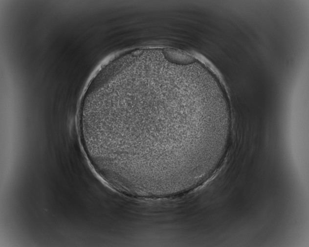 X0000082991429200703020835