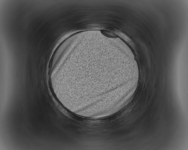 X0000082991431200703020835