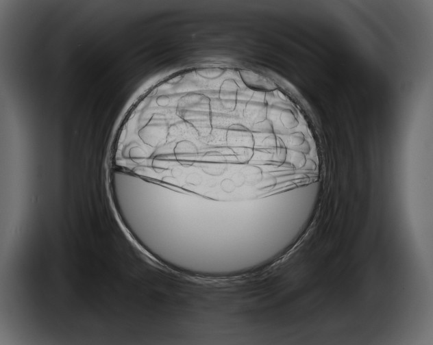 X0000082991432200703020835