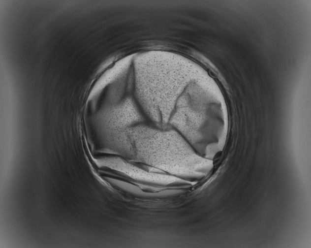 X0000082991433200703020835