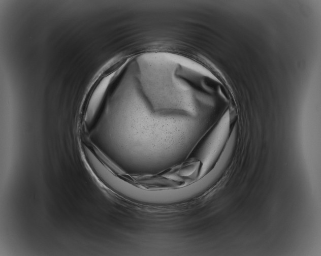 X0000082991434200703020835