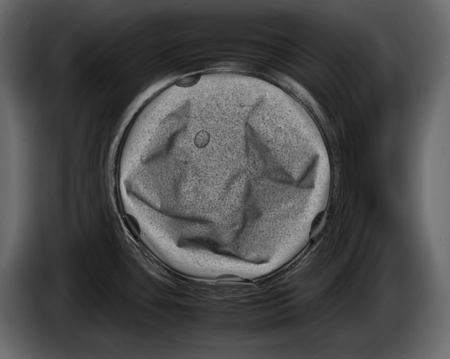 X0000082991435200703020835