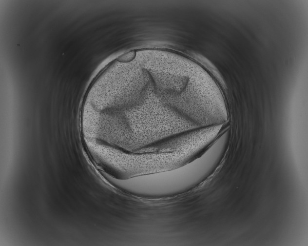 X0000082991436200703020835