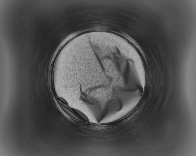 X0000082991437200703020835