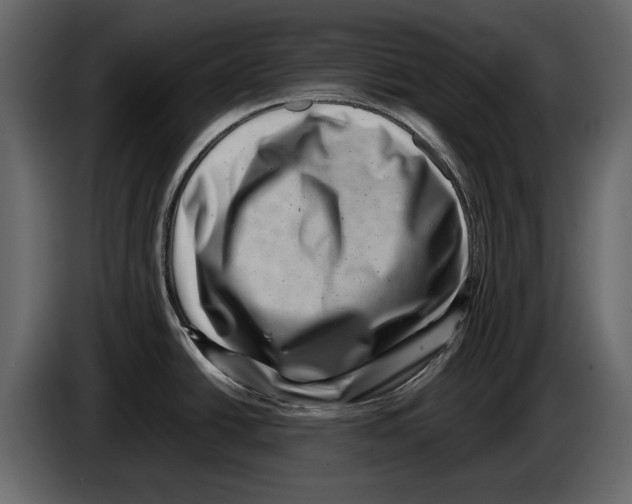 X0000082991438200703020835