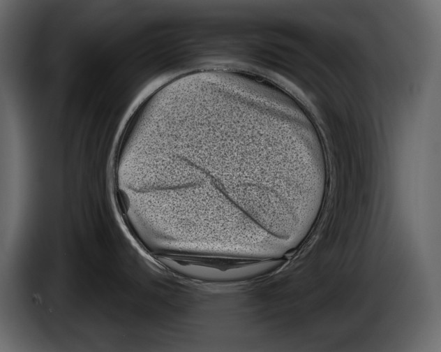 X0000082991440200703020835