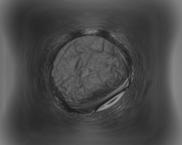 X0000082991441200703020835