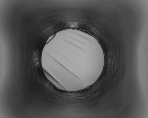 X0000082991442200703020835