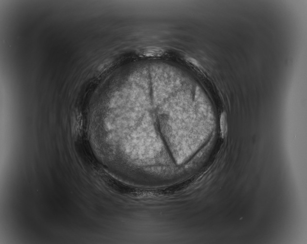 X0000082991443200703020835