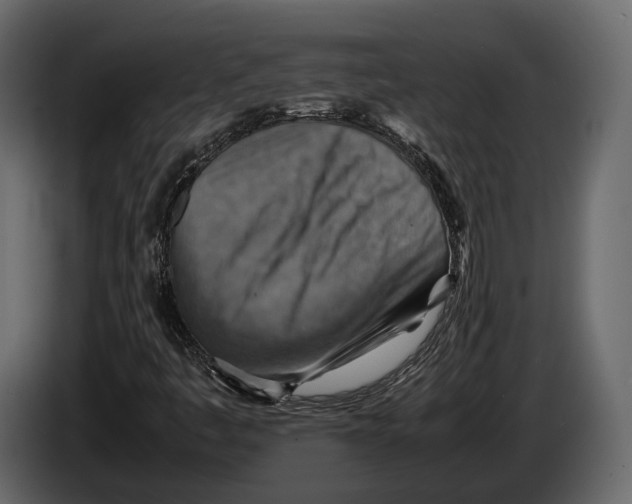 X0000082991445200703020834