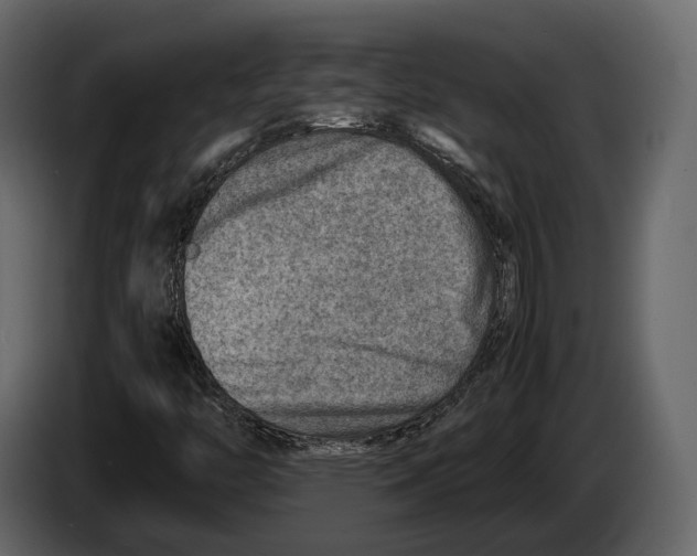 X0000082991446200703020834