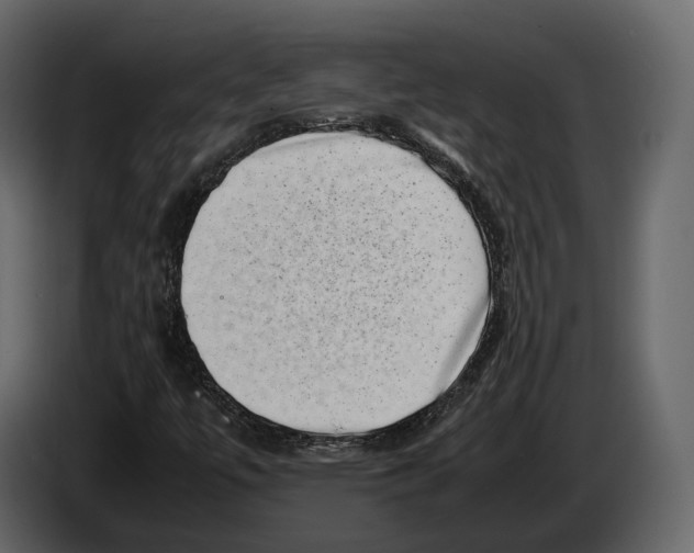 X0000082991447200703020834