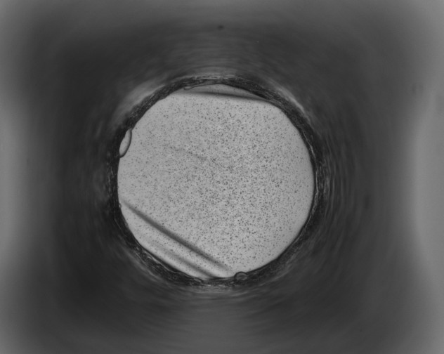 X0000082991448200703020834