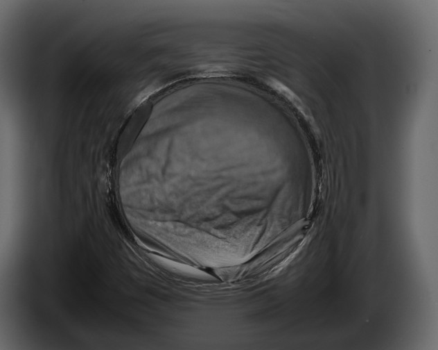 X0000082991449200703020834