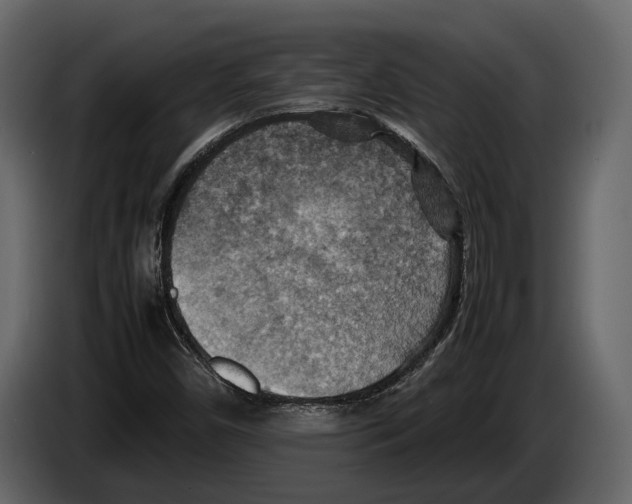 X0000082991450200703020834