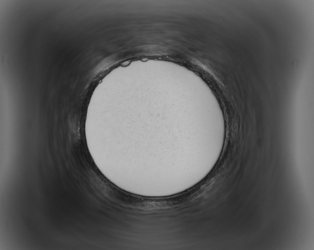 X0000082991451200703020834