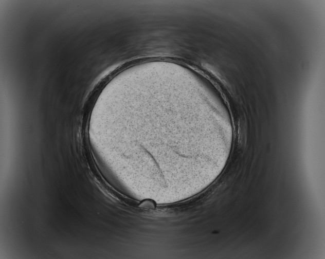 X0000082991452200703020834