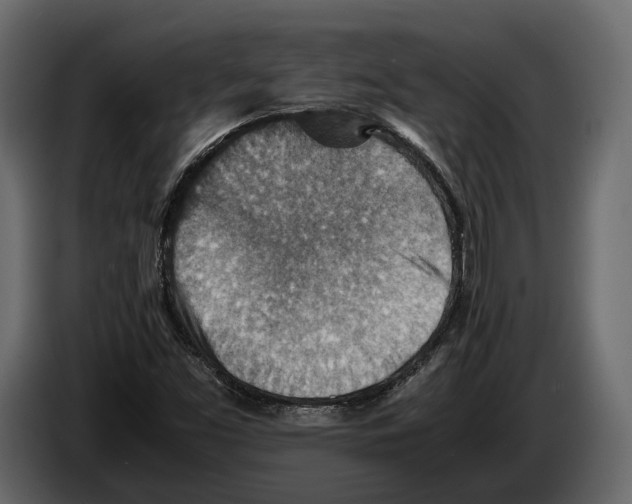 X0000082991453200703020834