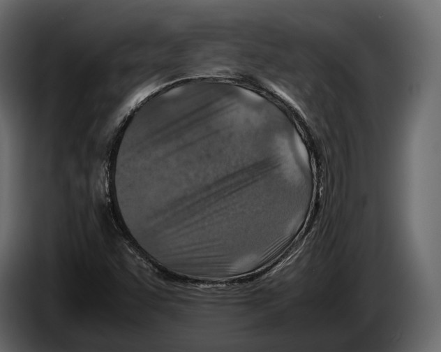 X0000082991455200703020834