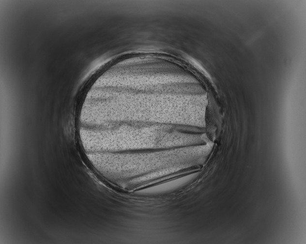 X0000082991456200703020834