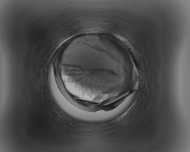 X0000082991457200703020834