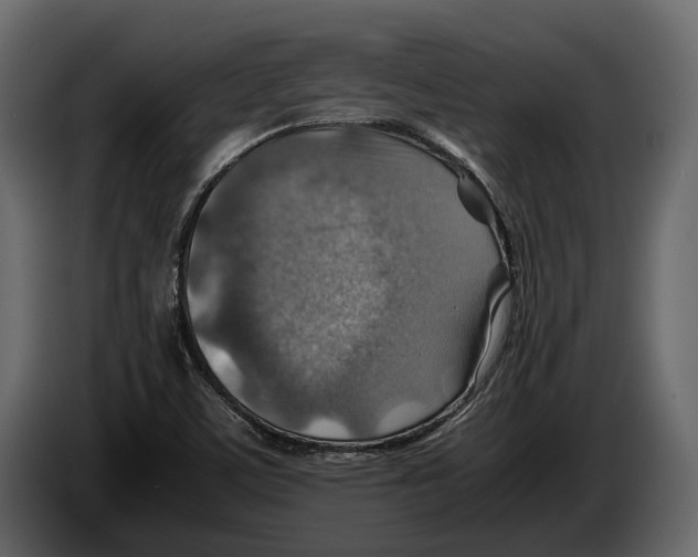 X0000082991459200703020834