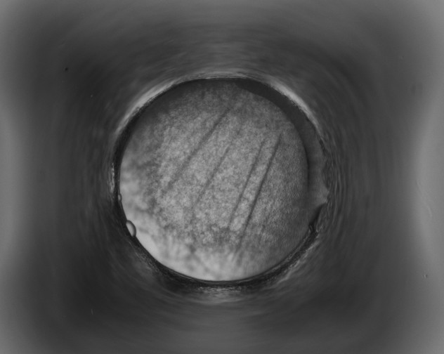 X0000082991461200703020834