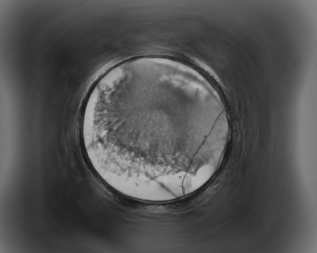 X0000082991463200703020834