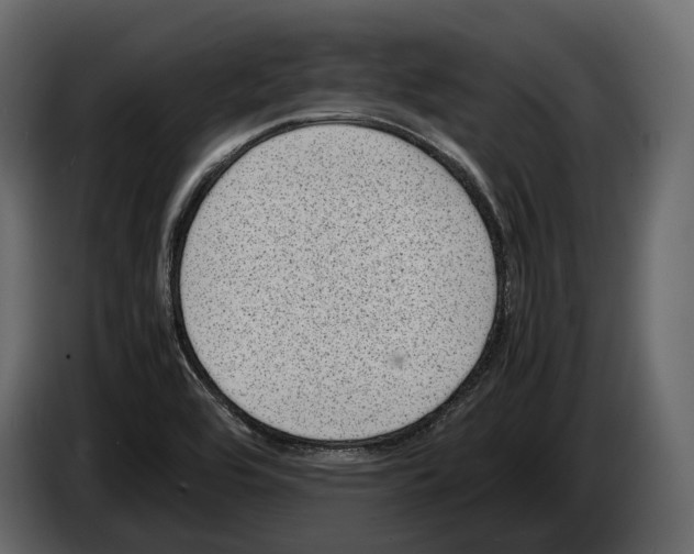 X0000082991464200703020834