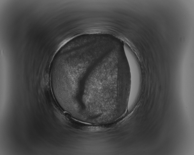 X0000082991465200703020834