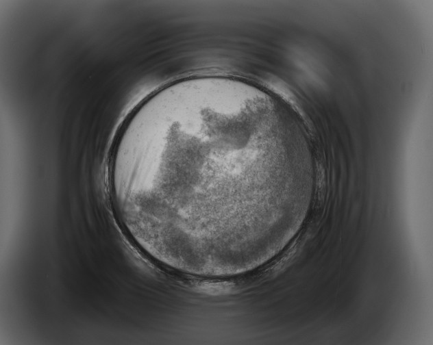 X0000082991466200703020834