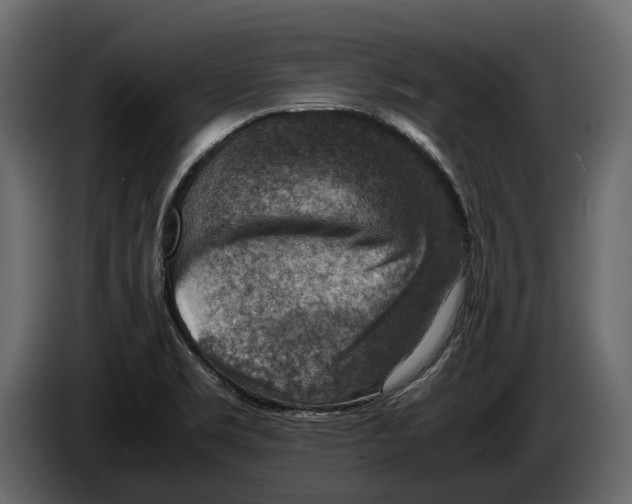 X0000082991469200703020834