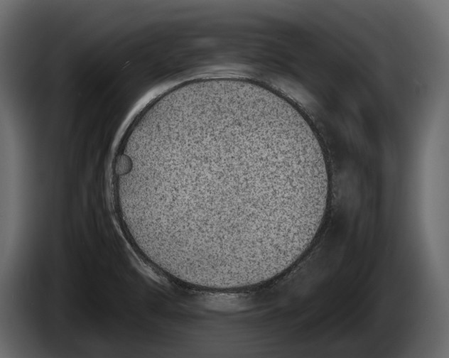 X0000082991470200703020834