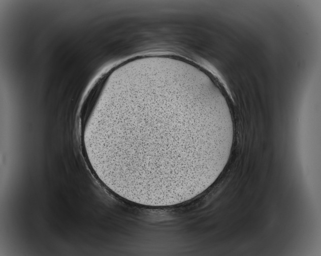 X0000082991472200703020834