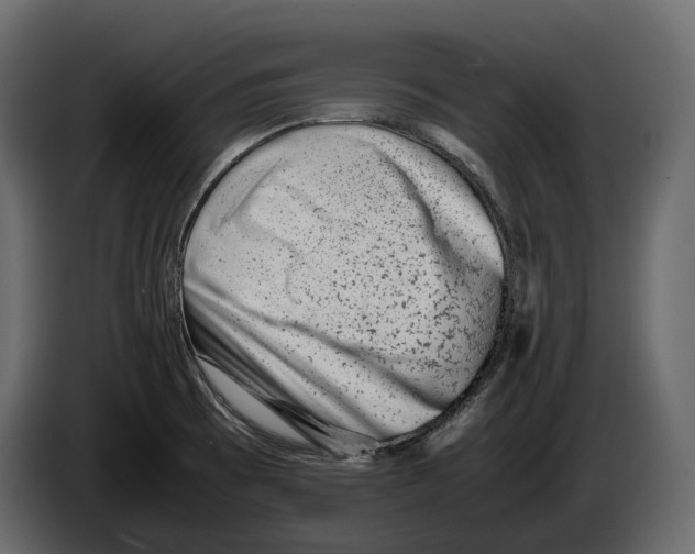 X0000082991473200703020834