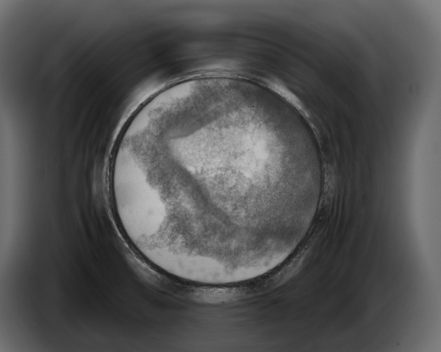 X0000082991474200703020834