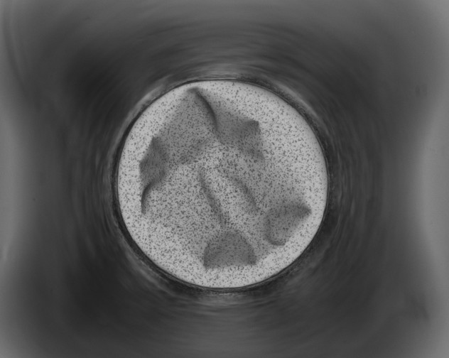 X0000082991475200703020834